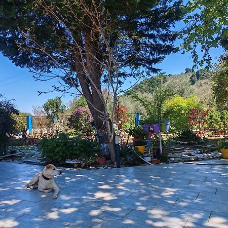 Εξοχική Κατοικία - Cottage Τίνα Liri Bagian luar foto