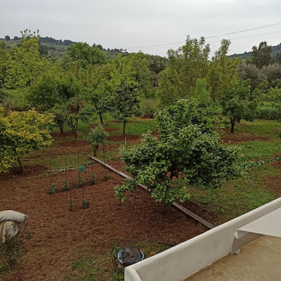 Εξοχική Κατοικία - Cottage Τίνα Liri Bagian luar foto